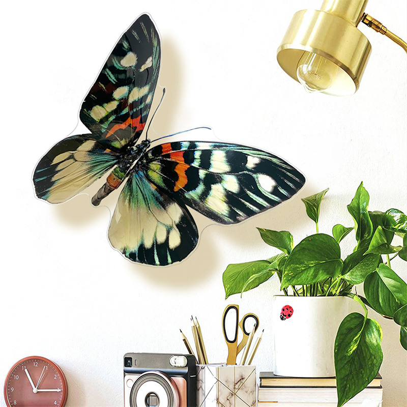 Big 3D Butterfly Summer Outdoo - Outdoor Furniture Arhaus review and price